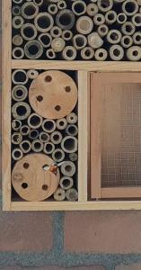 Jacquelien 01 - Aankomst hommel